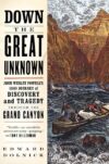 DOWN THE GREAT UNKNOWN : JOHN WESLEY POW