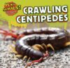 Crawling Centipedes (Icky Animals! Small and Gross