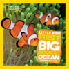 Little Kids First Big Book of the Ocean ( National