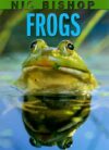 Frogs