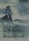 Witch of Blackbird Pond (1959 Newbery Medal)(HC)