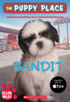 Bandit #24 (Puppy Place)