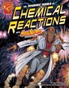 Dynamic World of Chemical Reactions With Max Axiom