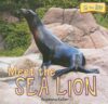 Meet the Sea Lion