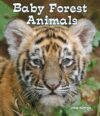 Baby Forest Animals (All about Baby Animals)