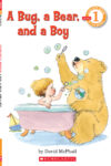 Bug a Bear and a Boy (Scholastic Reader Level 1)