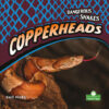 Copperheads (Dangerous Snakes)(LB)