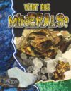 What Are Minerals? (Let's Rock!)(LB)