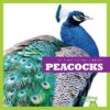 Peacocks (My First Animal Library)