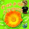 Ciclo de Vida de Las Plantas: Plant Life Cycle