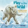 Play in the Wild: How Baby Animals Like to Have Fu