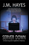 Server Down (Mad Dog & Englishman #5)