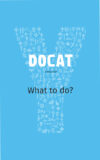 Docat: Catholic Social Teaching for Youth (What to