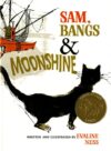 Sam Bangs & Moonshine  (1967 Caldecott Medal)