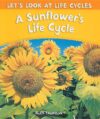 Sunflower's Life Cycle