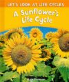 SUNFLOWER'S LIFE CYCLE (LB)