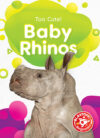 Baby Rhinos