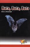 Bats Bats Bats