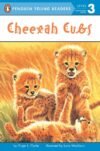 Cheetah Cubs (Penguin Young Readers Level 3)