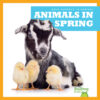 Animals in Spring (What Happens in Spring?)