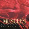 Muscles: Our Muscular System