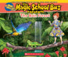 Rainforest: A Nonfiction Companion (Magic School B