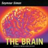 Brain: All about Our Nervous System and More!