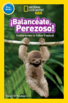 Balanceate Perezoso! / Swing Sloth!