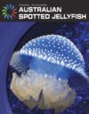Australian Spotted Jellyfish