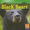 Black Bears ( Animals That Live in the Forest )