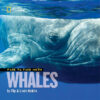 Face to Face with Whales ( Face to Face with Anima