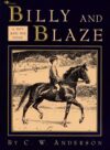 Billy and Blaze: A Boy and His Pony (Billy and Bla