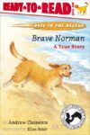 Brave Norman: A True Story (RTR Level 1)