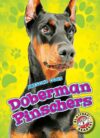Doberman Pinschers (Awesome Dogs)
