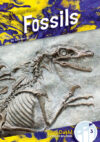 Fossils (Geology Zone)