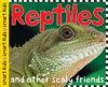 Reptiles and Amphibians (Smart Kids)