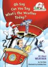 Oh Say Can You Say What's the Weather Today?