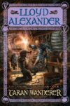 Taran Wanderer (Chronicles of Prydain #4)