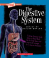 Digestive System (New True Books: Health)