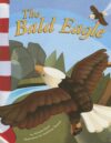 Bald Eagle (American Symbols)