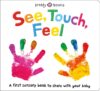 See Touch Feel (Board)
