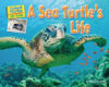 Sea Turtle's Life (Animal Diaries: Life Cycles)