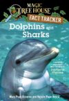 Dolphins and Sharks #9 A Nonfiction Companion