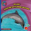 Discover Bottlenose Dolphins (LB)