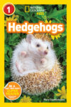 Hedgehogs (Nat Geo Level 1)(LB)