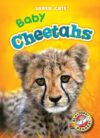 Baby Cheetahs (Super Cute!)