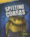 Spitting Cobras (Amazing Snakes!)