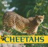Cheetahs (Cats of the Wild)