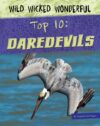 Daredevils (Wild Wicked Wonderful)(LB)
