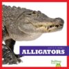 Alligators (Reptile World)